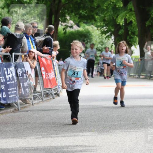 17.05.2025 - Störlauf Strokosch-Dieckow http://msf.ph/oto/7847398 17.05.2025 13:47:04 Ziel 40, 7, 25524, 31, 3 meine-sportfotos.de