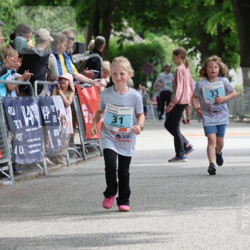 17.05.2025 - Störlauf Strokosch-Dieckow http://msf.ph/oto/7847400 17.05.2025 13:47:05 Ziel 40, 31, 33, 3 meine-sportfotos.de