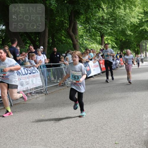 17.05.2025 - Störlauf Strokosch-Dieckow http://msf.ph/oto/7847421 17.05.2025 13:47:27 Ziel 0000, 84, 163, 205 meine-sportfotos.de