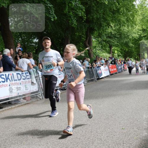 17.05.2025 - Störlauf Strokosch-Dieckow http://msf.ph/oto/7847427 17.05.2025 13:47:30 Ziel 205 meine-sportfotos.de