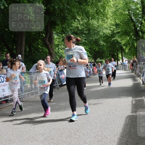 17.05.2025 - Störlauf Strokosch-Dieckow http://msf.ph/oto/7847437 17.05.2025 13:47:36 Ziel 337, 54, 340 meine-sportfotos.de