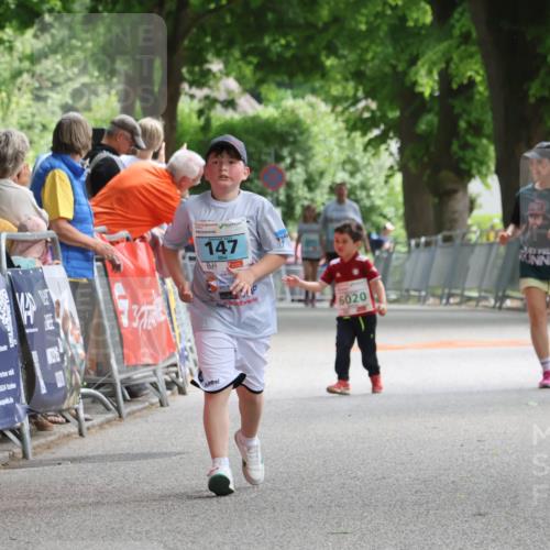 17.05.2025 - Störlauf Strokosch-Dieckow http://msf.ph/oto/7847519 17.05.2025 13:49:40 Ziel 40, 7, 25524, 147, 6020 meine-sportfotos.de