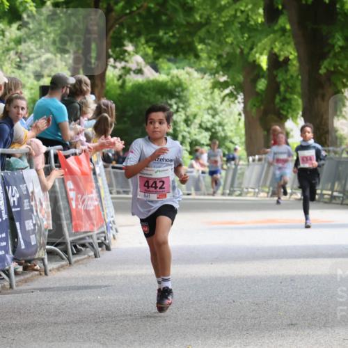 17.05.2025 - Störlauf Strokosch-Dieckow http://msf.ph/oto/7847558 17.05.2025 13:54:09 Ziel 442, 634, 4, 17, 25524 meine-sportfotos.de