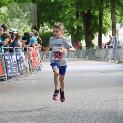 17.05.2025 - Störlauf Strokosch-Dieckow http://msf.ph/oto/7847592 17.05.2025 13:54:26 Ziel 378 meine-sportfotos.de