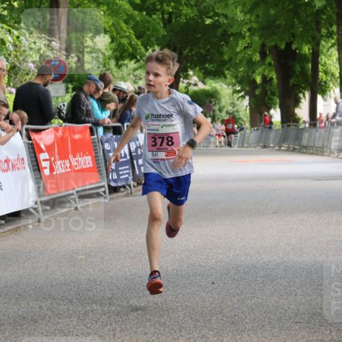 17.05.2025 - Störlauf Strokosch-Dieckow http://msf.ph/oto/7847594 17.05.2025 13:54:27 Ziel 4221, 378 meine-sportfotos.de