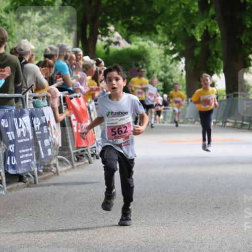17.05.2025 - Störlauf Strokosch-Dieckow http://msf.ph/oto/7847614 17.05.2025 13:54:53 Ziel 40, 562 meine-sportfotos.de