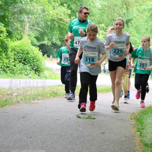 17.05.2025 - Störlauf Strokosch-Dieckow http://msf.ph/oto/7847615 17.05.2025 13:42:07 Laufen 25, 47, 318, 229, 259, 3, 22, 22 meine-sportfotos.de