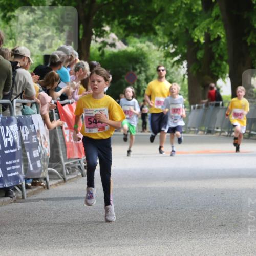 17.05.2025 - Störlauf Strokosch-Dieckow http://msf.ph/oto/7847622 17.05.2025 13:54:58 Ziel 54 meine-sportfotos.de