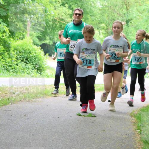 17.05.2025 - Störlauf Strokosch-Dieckow http://msf.ph/oto/7847627 17.05.2025 13:42:07 Laufen 47, 2025, 318, 22, 259, 25, 228, 122 meine-sportfotos.de