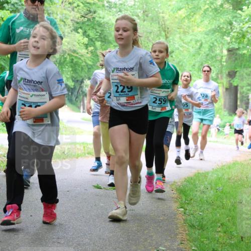 17.05.2025 - Störlauf Strokosch-Dieckow http://msf.ph/oto/7847634 17.05.2025 13:42:08 Laufen 2025, 229, 259, 95, 28, 368 meine-sportfotos.de
