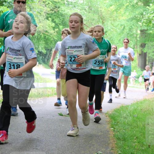 17.05.2025 - Störlauf Strokosch-Dieckow http://msf.ph/oto/7847638 17.05.2025 13:42:08 Laufen 2025, 318, 20, 22, 259, 228, 95 meine-sportfotos.de
