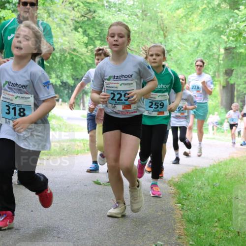 17.05.2025 - Störlauf Strokosch-Dieckow http://msf.ph/oto/7847643 17.05.2025 13:42:09 Laufen 2025, 318, 2025, 229, 2025, 259, 10, 92, 228 meine-sportfotos.de