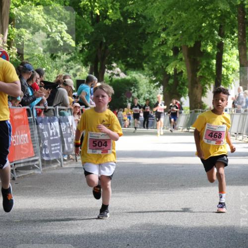 17.05.2025 - Störlauf Strokosch-Dieckow http://msf.ph/oto/7847644 17.05.2025 13:55:08 Ziel 503, 468, 504 meine-sportfotos.de