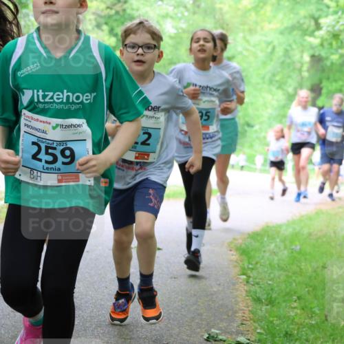 17.05.2025 - Störlauf Strokosch-Dieckow http://msf.ph/oto/7847659 17.05.2025 13:42:11 Laufen 2025, 26, 2025, 259, 1025, 22, 95 meine-sportfotos.de