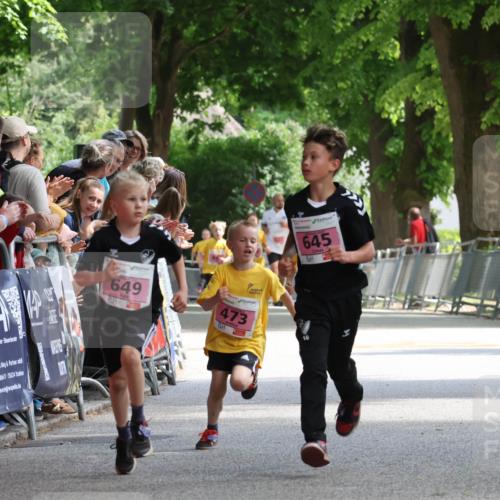 17.05.2025 - Störlauf Strokosch-Dieckow http://msf.ph/oto/7847670 17.05.2025 13:55:24 Ziel 7, 25524, 649, 473, 645, 10 meine-sportfotos.de