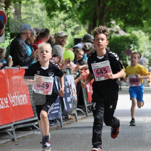 17.05.2025 - Störlauf Strokosch-Dieckow http://msf.ph/oto/7847672 17.05.2025 13:55:25 Ziel 96, 2025, 645, 99, 2025, 649, 10, 486, 473 meine-sportfotos.de
