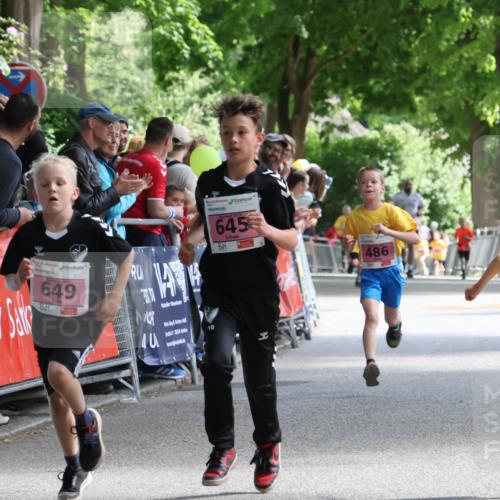 17.05.2025 - Störlauf Strokosch-Dieckow http://msf.ph/oto/7847674 17.05.2025 13:55:25 Ziel 649, 40, 10, 645, 486, 473 meine-sportfotos.de