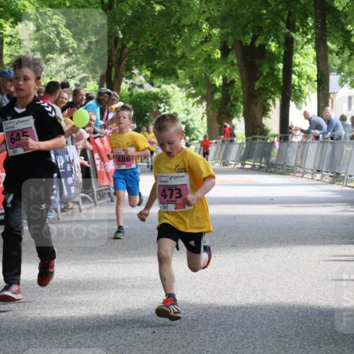 17.05.2025 - Störlauf Strokosch-Dieckow http://msf.ph/oto/7847676 17.05.2025 13:55:26 Ziel 645, 49, 10, 486, 2025, 473 meine-sportfotos.de