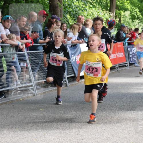 17.05.2025 - Störlauf Strokosch-Dieckow http://msf.ph/oto/7847680 17.05.2025 13:55:27 Ziel 45, 486, 649, 473 meine-sportfotos.de