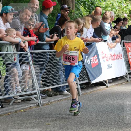 17.05.2025 - Störlauf Strokosch-Dieckow http://msf.ph/oto/7847686 17.05.2025 13:55:30 Ziel 5, 486, 40 meine-sportfotos.de
