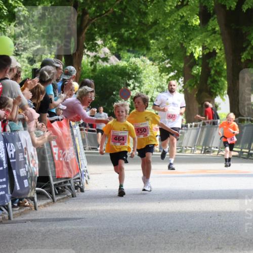 17.05.2025 - Störlauf Strokosch-Dieckow http://msf.ph/oto/7847690 17.05.2025 13:55:33 Ziel 40, 464, 550, 422, 42 meine-sportfotos.de