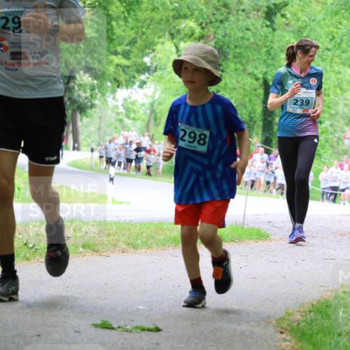 17.05.2025 - Störlauf Strokosch-Dieckow http://msf.ph/oto/7847703 17.05.2025 13:42:24 Laufen 202, 29, 2025, 298, 239, 206, 24 meine-sportfotos.de