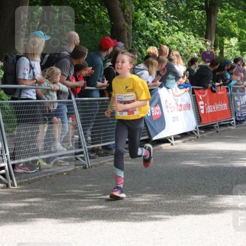17.05.2025 - Störlauf Strokosch-Dieckow http://msf.ph/oto/7847722 17.05.2025 13:55:48 Ziel 3000 meine-sportfotos.de