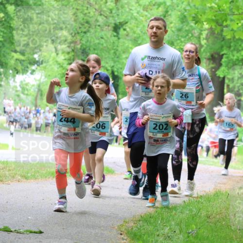 17.05.2025 - Störlauf Strokosch-Dieckow http://msf.ph/oto/7847727 17.05.2025 13:42:28 Laufen 244, 206, 26, 21, 202, 165, 264 meine-sportfotos.de