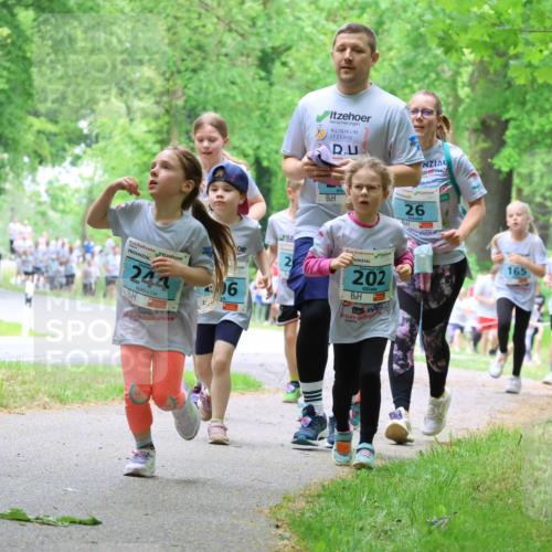 17.05.2025 - Störlauf Strokosch-Dieckow http://msf.ph/oto/7847731 17.05.2025 13:42:28 Laufen 26, 244, 6, 2025, 202, 165, 264 meine-sportfotos.de
