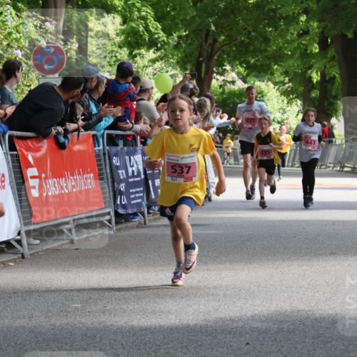 17.05.2025 - Störlauf Strokosch-Dieckow http://msf.ph/oto/7847732 17.05.2025 13:55:53 Ziel 202, 507, 537, 443, 435 meine-sportfotos.de