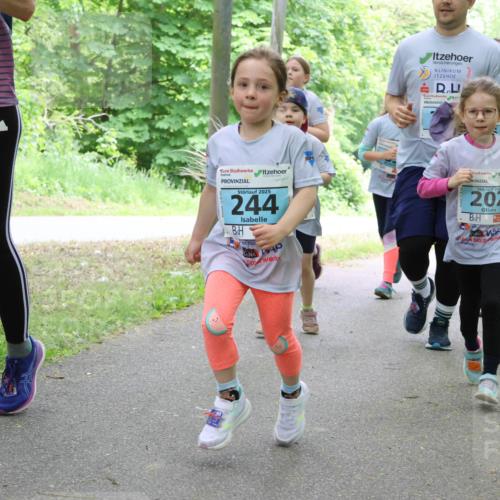 17.05.2025 - Störlauf Strokosch-Dieckow http://msf.ph/oto/7847739 17.05.2025 13:42:32 Laufen 2025, 244, 2025, 202, 165, 264 meine-sportfotos.de