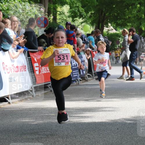 17.05.2025 - Störlauf Strokosch-Dieckow http://msf.ph/oto/7847749 17.05.2025 13:56:03 Ziel 2025, 531 meine-sportfotos.de