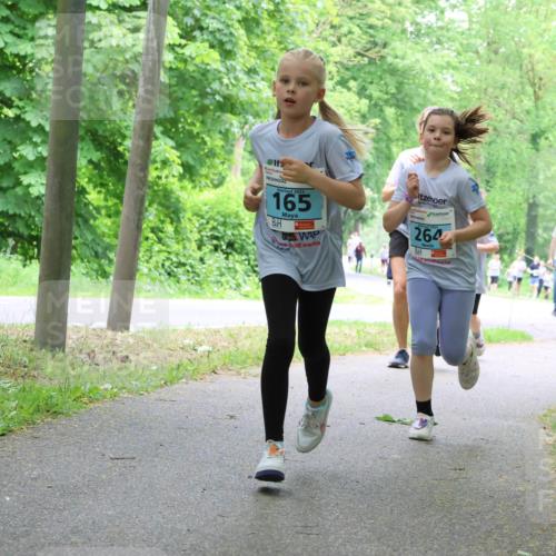 17.05.2025 - Störlauf Strokosch-Dieckow http://msf.ph/oto/7847752 17.05.2025 13:42:36 Laufen 2025, 165, 264, 60, 57 meine-sportfotos.de