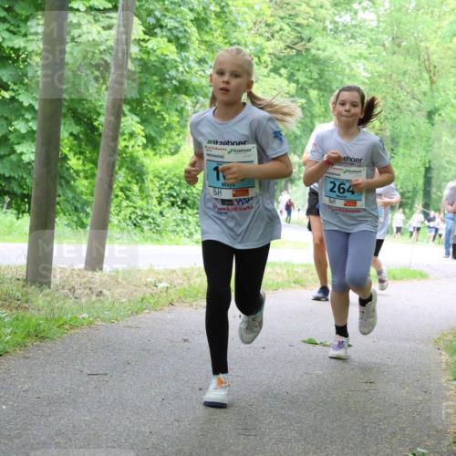 17.05.2025 - Störlauf Strokosch-Dieckow http://msf.ph/oto/7847755 17.05.2025 13:42:36 Laufen 1, 264, 57, 50 meine-sportfotos.de
