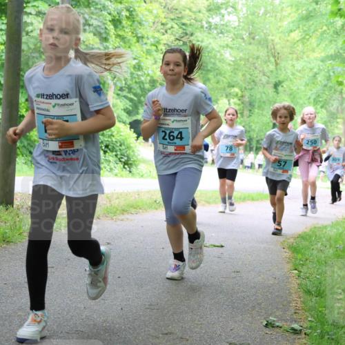 17.05.2025 - Störlauf Strokosch-Dieckow http://msf.ph/oto/7847764 17.05.2025 13:42:37 Laufen 2025, 2025, 264, 78, 57, 250, 309 meine-sportfotos.de