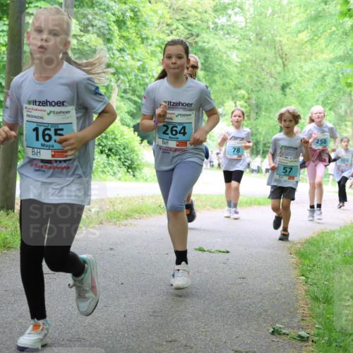 17.05.2025 - Störlauf Strokosch-Dieckow http://msf.ph/oto/7847768 17.05.2025 13:42:37 Laufen 2025, 165, 2025, 264, 250, 78, 57, 309 meine-sportfotos.de