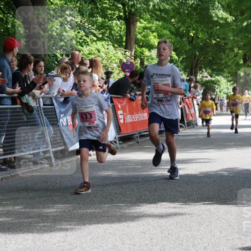 17.05.2025 - Störlauf Strokosch-Dieckow http://msf.ph/oto/7847770 17.05.2025 13:56:17 Ziel 633 meine-sportfotos.de