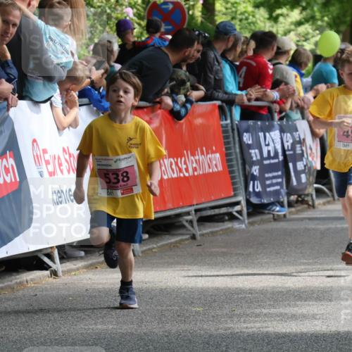 17.05.2025 - Störlauf Strokosch-Dieckow http://msf.ph/oto/7847777 17.05.2025 13:56:20 Ziel 2025, 538, 40, 494 meine-sportfotos.de