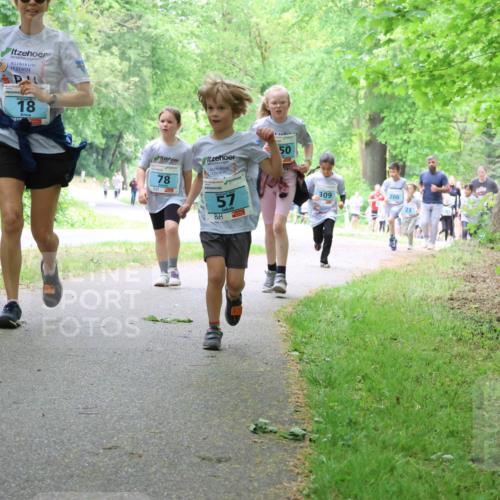 17.05.2025 - Störlauf Strokosch-Dieckow http://msf.ph/oto/7847779 17.05.2025 13:42:38 Laufen 18, 78, 57, 50, 309, 200 meine-sportfotos.de