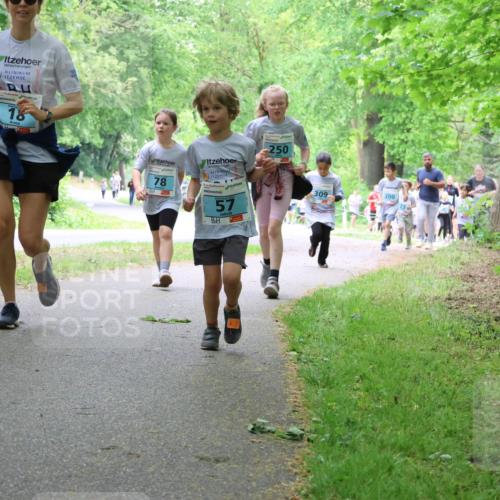 17.05.2025 - Störlauf Strokosch-Dieckow http://msf.ph/oto/7847782 17.05.2025 13:42:38 Laufen 18, 78, 57, 250, 309, 200 meine-sportfotos.de
