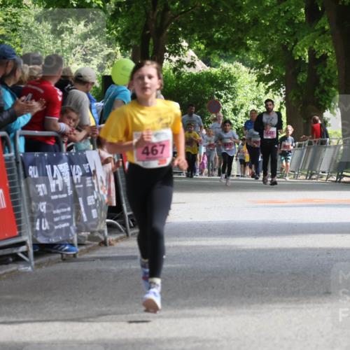 17.05.2025 - Störlauf Strokosch-Dieckow http://msf.ph/oto/7847783 17.05.2025 13:56:26 Ziel 40, 467, 446 meine-sportfotos.de