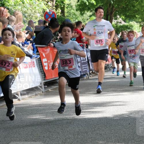 17.05.2025 - Störlauf Strokosch-Dieckow http://msf.ph/oto/7847797 17.05.2025 13:56:41 Ziel 2025, 472, 383, 675, 488, 415, 669, 37, 399 meine-sportfotos.de