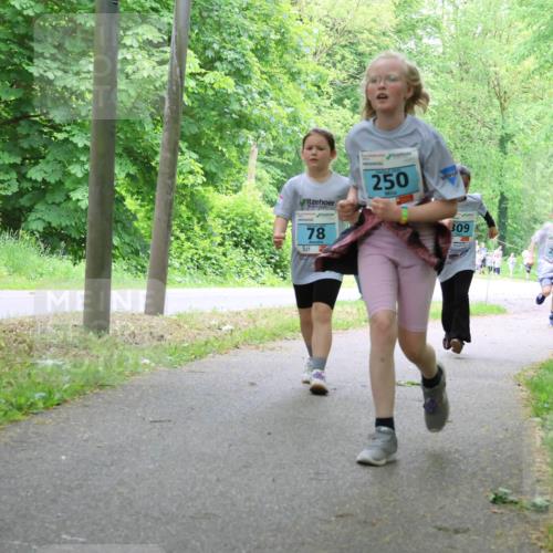 17.05.2025 - Störlauf Strokosch-Dieckow http://msf.ph/oto/7847802 17.05.2025 13:42:40 Laufen 78, 250, 309, 200, 326, 108, 342 meine-sportfotos.de