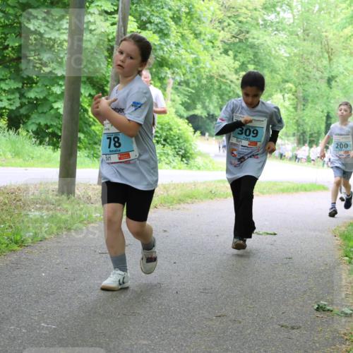 17.05.2025 - Störlauf Strokosch-Dieckow http://msf.ph/oto/7847806 17.05.2025 13:42:42 Laufen 78, 309, 200, 326, 346, 108 meine-sportfotos.de