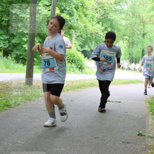 17.05.2025 - Störlauf Strokosch-Dieckow http://msf.ph/oto/7847810 17.05.2025 13:42:42 Laufen 78, 09, 200, 26, 346 meine-sportfotos.de