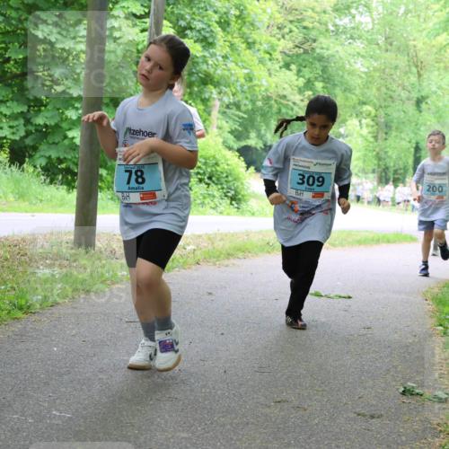 17.05.2025 - Störlauf Strokosch-Dieckow http://msf.ph/oto/7847814 17.05.2025 13:42:43 Laufen 2025, 78, 2025, 309, 200, 326, 346 meine-sportfotos.de
