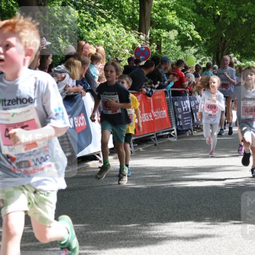 17.05.2025 - Störlauf Strokosch-Dieckow http://msf.ph/oto/7847817 17.05.2025 13:56:45 Ziel 409, 455, 440, 375, 441 meine-sportfotos.de