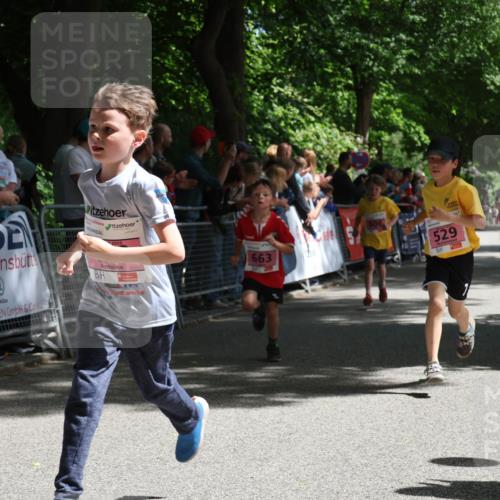 17.05.2025 - Störlauf Strokosch-Dieckow http://msf.ph/oto/7847856 17.05.2025 13:56:54 Ziel 2025, 529, 663 meine-sportfotos.de