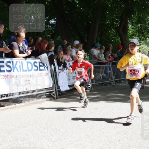 17.05.2025 - Störlauf Strokosch-Dieckow http://msf.ph/oto/7847860 17.05.2025 13:56:55 Ziel 0000, 663, 529, 450 meine-sportfotos.de