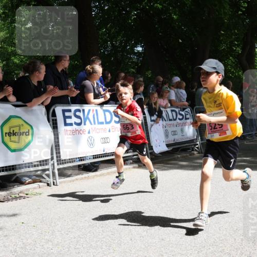 17.05.2025 - Störlauf Strokosch-Dieckow http://msf.ph/oto/7847862 17.05.2025 13:56:56 Ziel 663, 0000, 525 meine-sportfotos.de